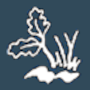 Progress Consulting S.r.l.